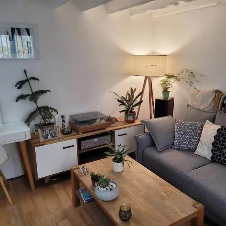 Superbe Duplex Avec Terrasse Au Coeur De Apartment *