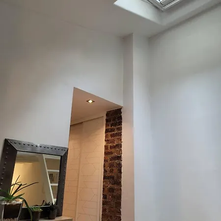 Superbe Duplex Avec Terrasse Au Coeur De Parijs